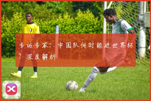专访专家：中国队何时能进世界杯？深度解析