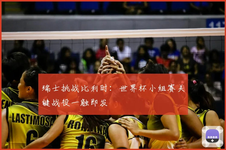 瑞士挑战比利时:世界杯小组赛关键战役一触即发