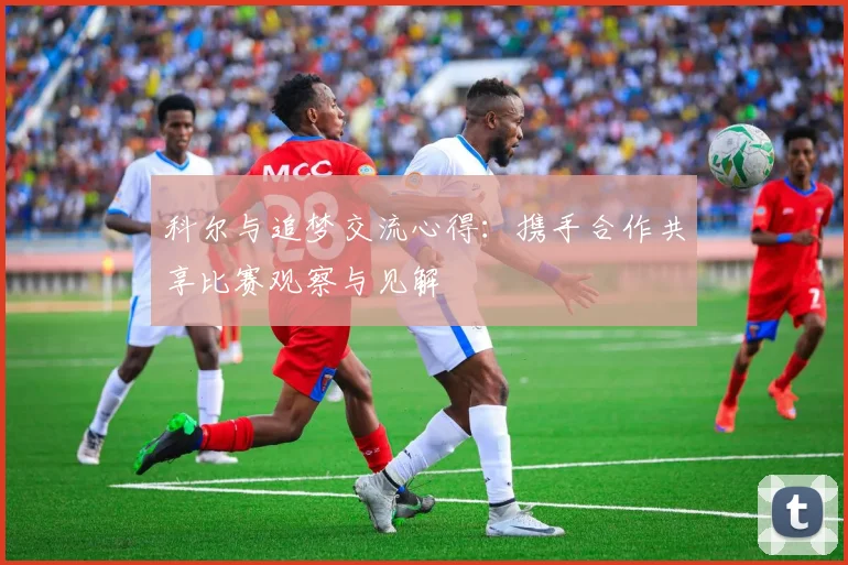 科尔与追梦交流心得：携手合作共享比赛观察与见解