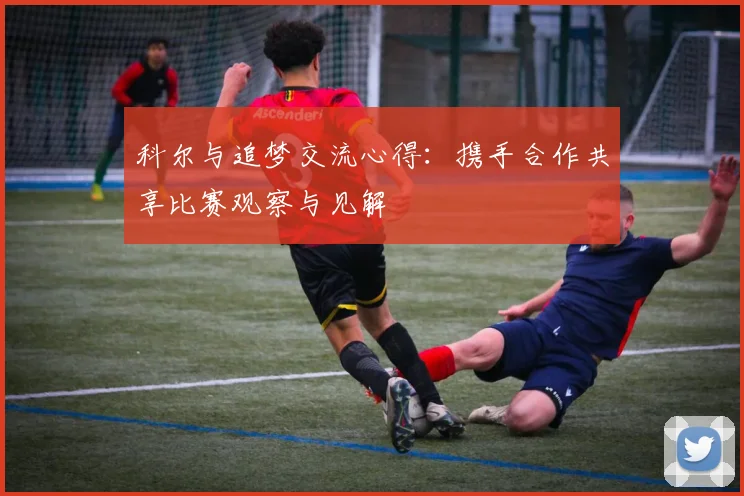 科尔与追梦交流心得：携手合作共享比赛观察与见解