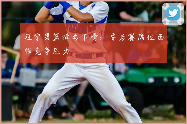 辽宁男篮排名下滑,季后赛席位面临竞争压力