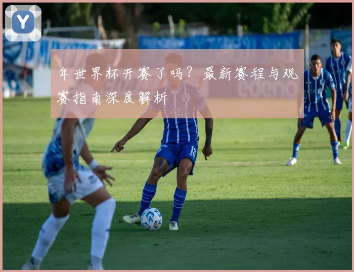 年世界杯开赛了吗?最新赛程与观赛指南深度解析