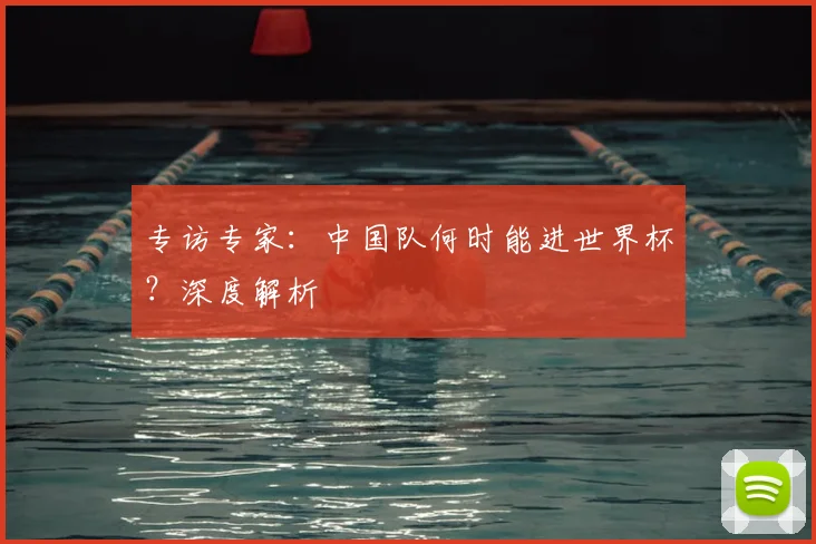专访专家:中国队何时能进世界杯?深度解析