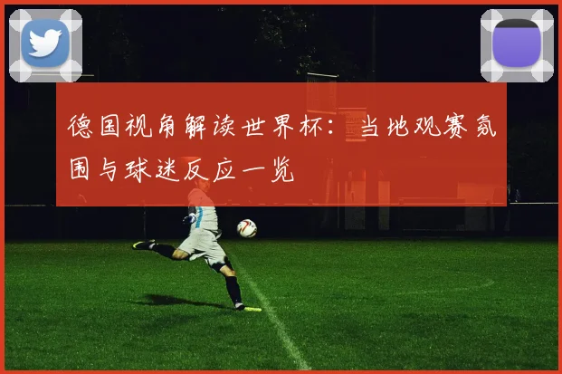 德国视角解读世界杯:当地观赛氛围与球迷反应一览