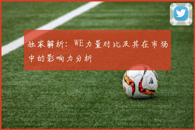 独家解析:WE力量对比及其在市场中的影响力分析