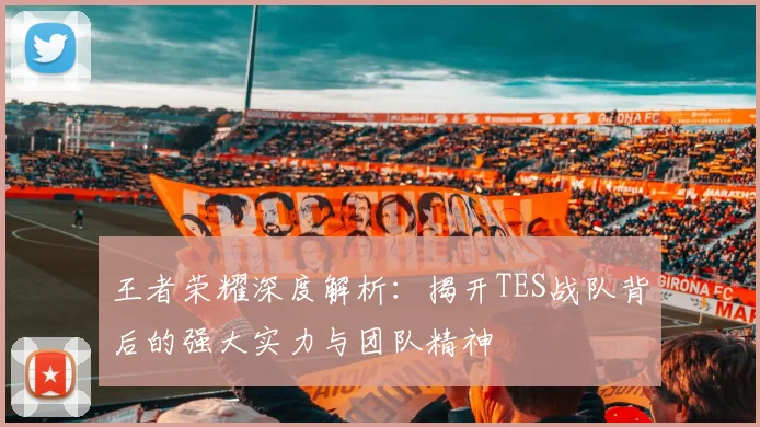 王者荣耀深度解析:揭开TES战队背后的强大实力与团队精神