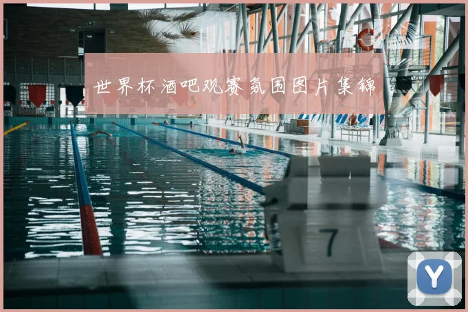 世界杯酒吧观赛氛围图片集锦