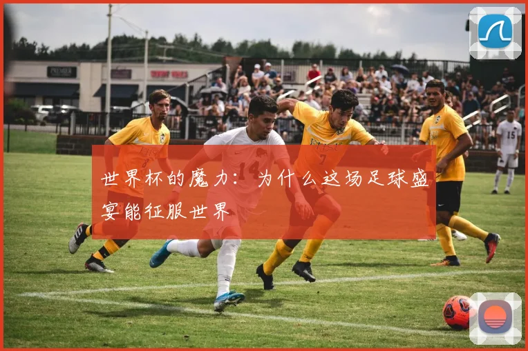世界杯的魔力:为什么这场足球盛宴能征服世界
